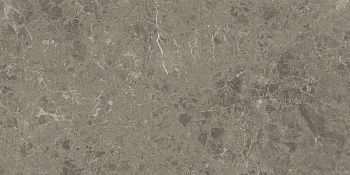 Керамогранит Marvel Meraviglia Grigio Elegante 30x60 Lapp. (AJJI)