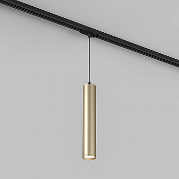 Трековый светильник Denkirs DK6210-BG