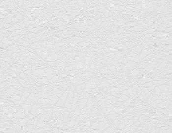 9755 Обои Marburg (Patent Decor) (1*4) 25,0х1,06 флиз
