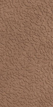 Керамогранит Ape Ceramica Nisus Terra Rect 30х60