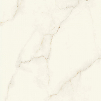 Керамогранит Marvel Calacatta Apuano120x120 Silk (AFVJ)