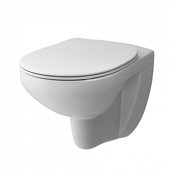 Унитаз подвесной безободковый Damixa Elder DX17C1700SC с крышкой-сиденьем микролифт, белый