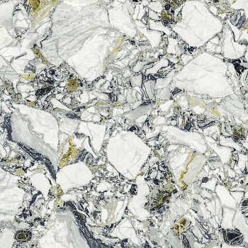 Керамогранит Forte Dei Marmi Quark Ceppo Ap. Forest Rett 80x80 (610010002971)
