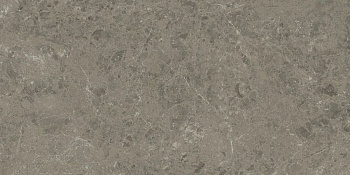 Керамогранит Marvel Meraviglia Grigio Elegante 60x120 Lapp.- 6mm (AKHO)