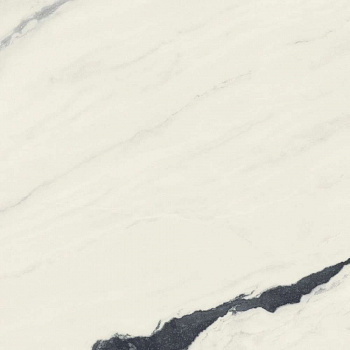 Керамогранит Forte Dei Marmi Panda White Rett 120x120 (600010002406)