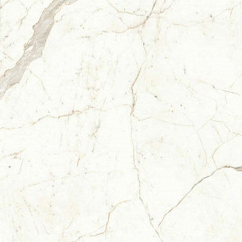 Керамогранит Marvel Calacatta Prestigio 120x120 Matt (A4Q5)
