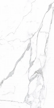 Керамогранит Simpolo CRV-3143 carving 60х120