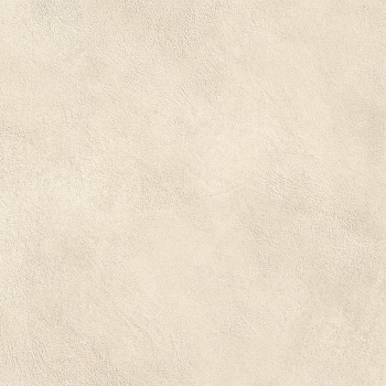 Керамогранит Boost Expression Shell 60x60 - 20mm