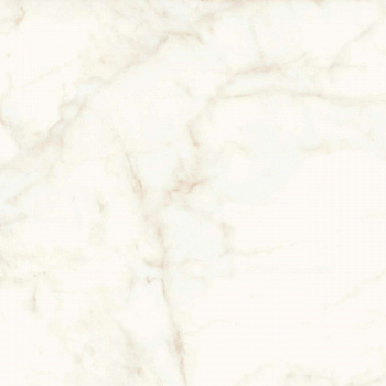 Керамогранит Marvel Calacatta Delicato 120x120 Matt (A4Q4)