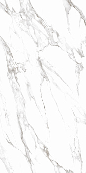 Керамогранит Simpolo Carrara Dove high glossy 79,8х159,8