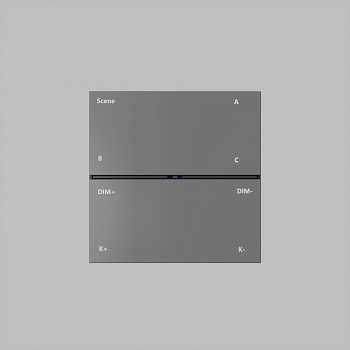 Накладная настенная панель управления CONTROL BT DK7201-DG