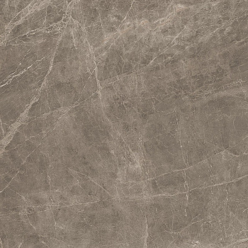 Керамогранит Marvel Gris Supreme 120x120 Lappato (AENN)