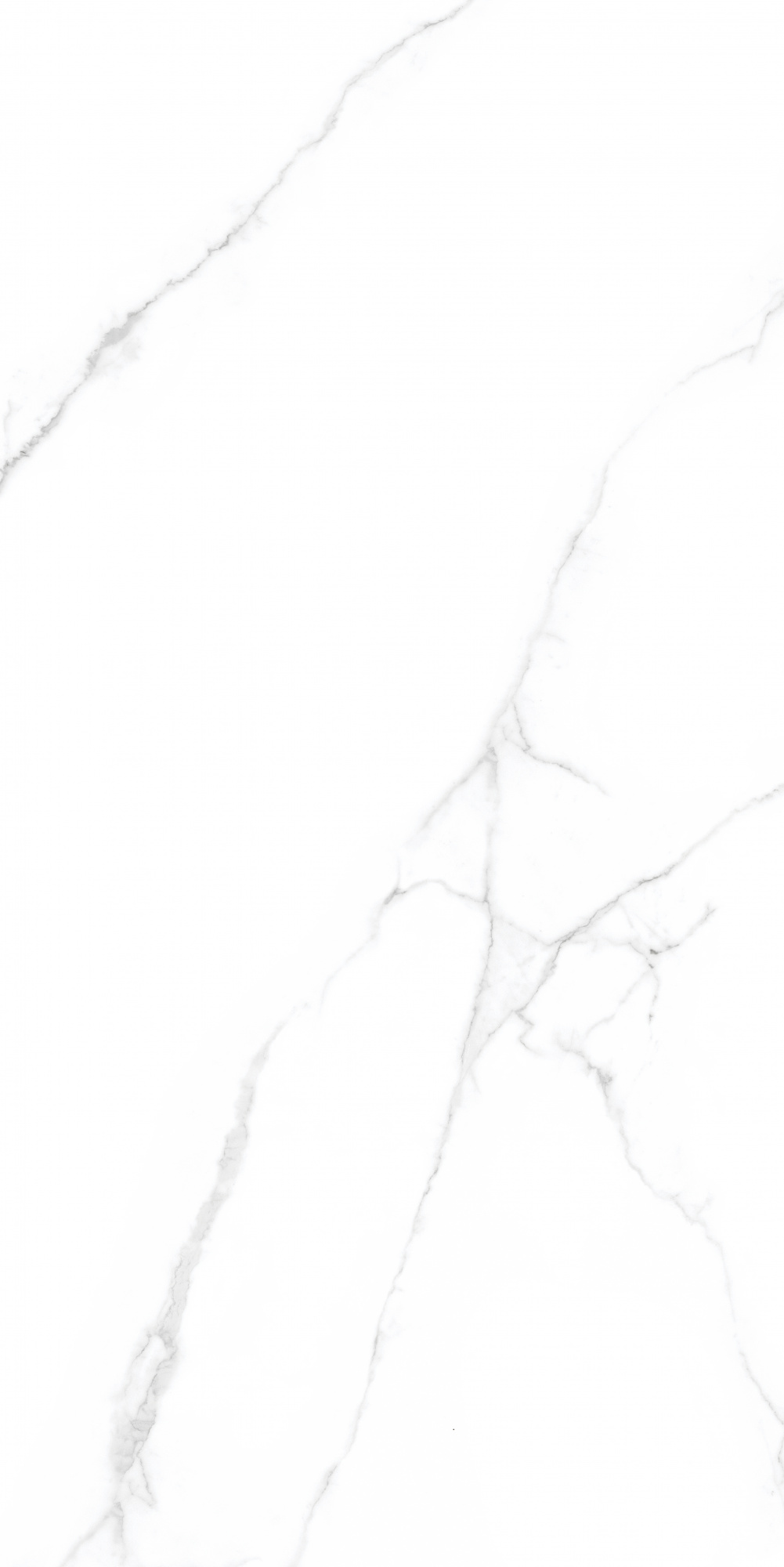 Керамогранит Simpolo CRV-3141 carving 60х120