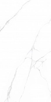 Керамогранит Simpolo CRV-3141 carving 60х120