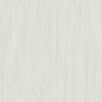 Керамогранит Marvel Bianco Dolomite 120x120 Lappato (AZTT)