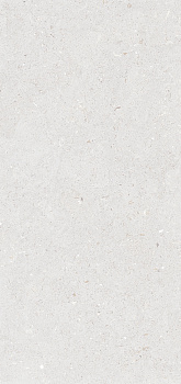 Керамогранит Simpolo Stx Fossil Bianco 3pc 59,8х119,8