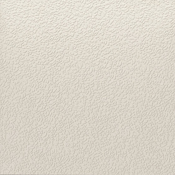 Керамогранит Ape Ceramica Nisus Neve Rect 120х120