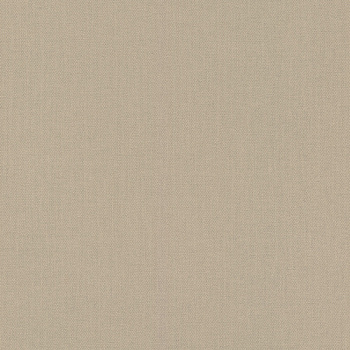 423921 Обои Rasch (Allegretto) (1*12) 10,05x0,53 винил на флизелине