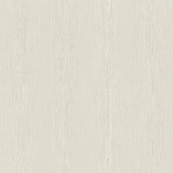968521 Wall Textures XL III Обои Rasch Настенные Структуры (Wall Textures Xl Iii) 1.06x10.05