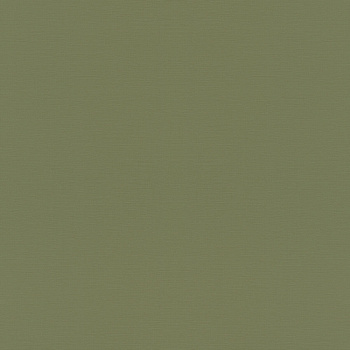 687538 Обои Rasch (Allegretto) (1*12) 10,05x0,53 винил на флизелине