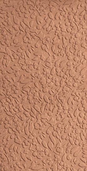 Керамогранит Ape Ceramica Nisus Coral Rect 30х60