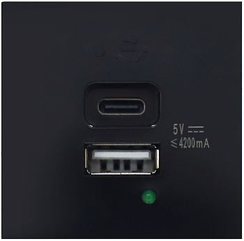 USB-зарядка 4200мA типа A+С,  2 модуля,  45х45мм,  цвет черный