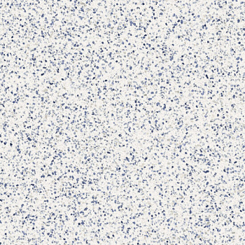 Керамогранит Marazzi Italy Frammento Macro Azzurro R10 RT 120x120