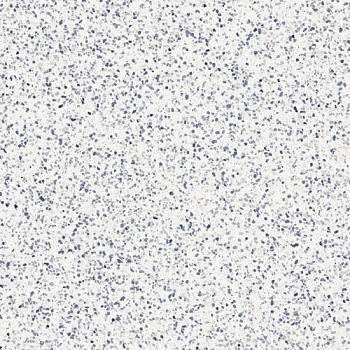 Керамогранит Marazzi Italy Frammento Macro Azzurro R10 RT 120x120
