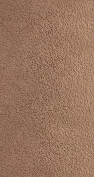 Керамогранит Ape Ceramica Nisus Terra Rect 60х120