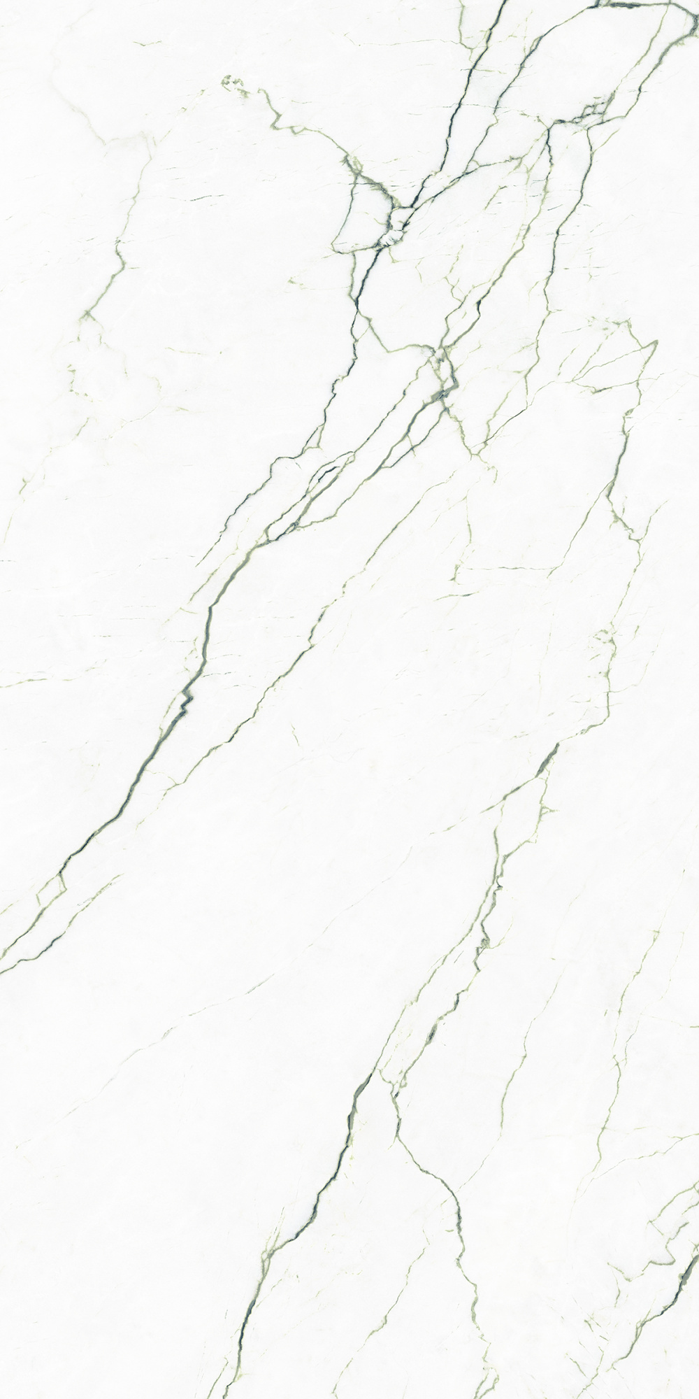 Керамогранит Tagina Segesta Verde Luc Ret 60x120