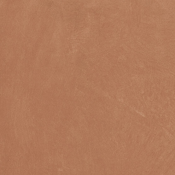 Керамогранит Ape Ceramica Anti-Slip Argillae Coral Rect 60х60
