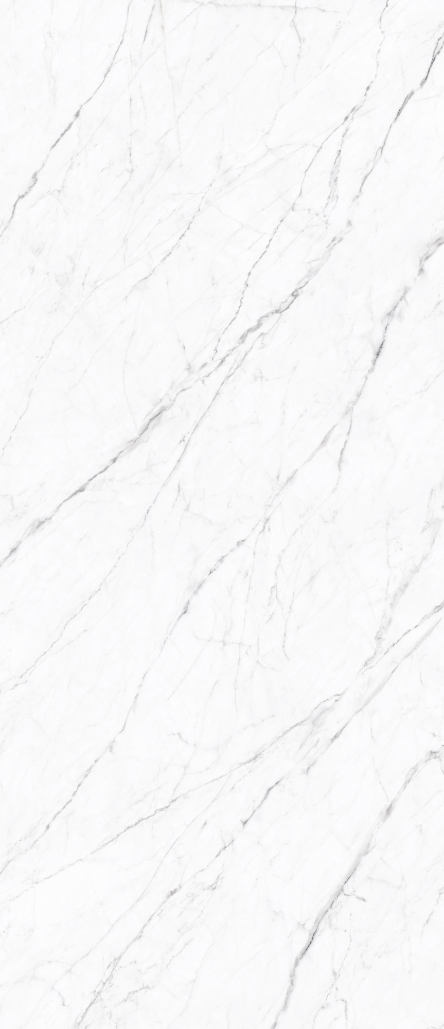 Керамогранит Simpolo Carrara Twig 120х278х6