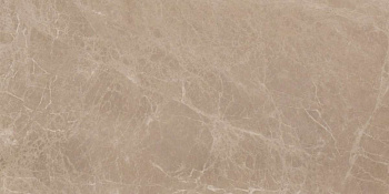 Керамогранит Marvel Elegant Sable 30x60 (AEOG)